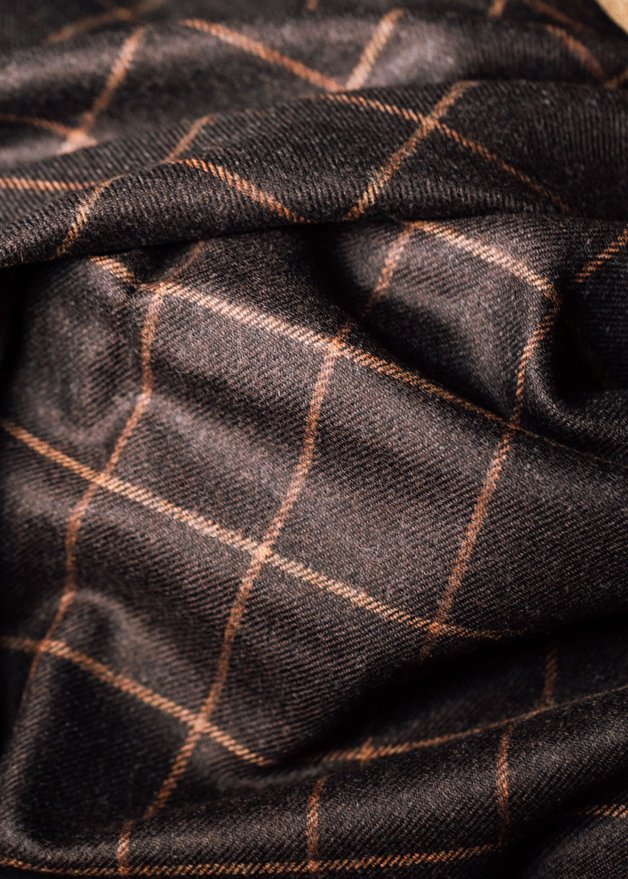 The Wonder of The Windowpane. – Pepper Lee